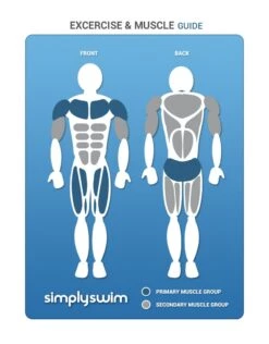 BeCo Betomic 11 BeCo Betomic -Aqua Wear Shop Exercise MuscleGuide 76479f93 6bee 422b a534 cce33666fae6