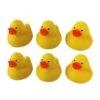 Rubber Duckies - Pack Of 6 - Yellow -Aqua Wear Shop Rubber Duckies Pack of 6