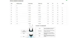 Speedo Allover Recordbreaker Swimsuit - Black/Blue -Aqua Wear Shop Speedo Allover Recordbreaker Size Guide Womens