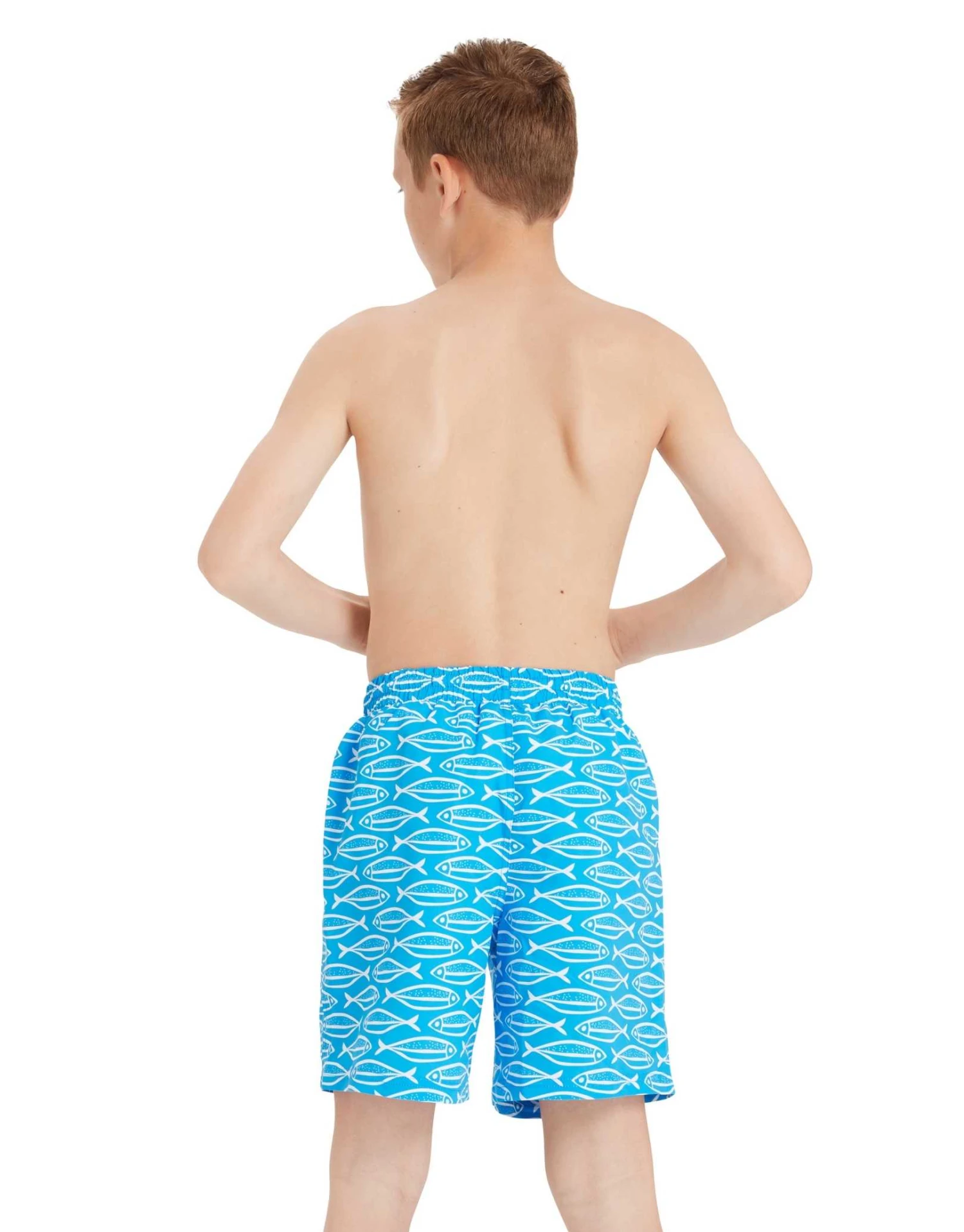Zoggs Boys Fishes 15 Inch Shorts 4 Zoggs Boys Fishes 15 Inch Shorts - Image 2