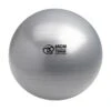 Fitness-Mad Anti-Burst 125kg Swiss Ball And Pump